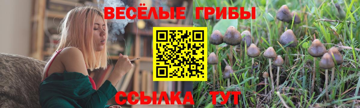 Галлюциногенные грибы мицелий  Вход с VPN  Новосибирск 